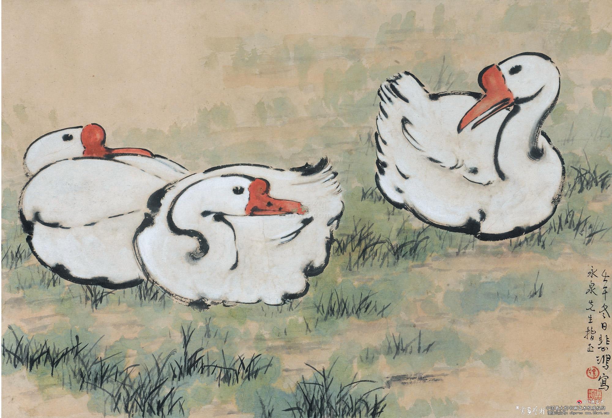 简笔画鹅的画法之鹅的填色画线稿 肉丁儿童网
