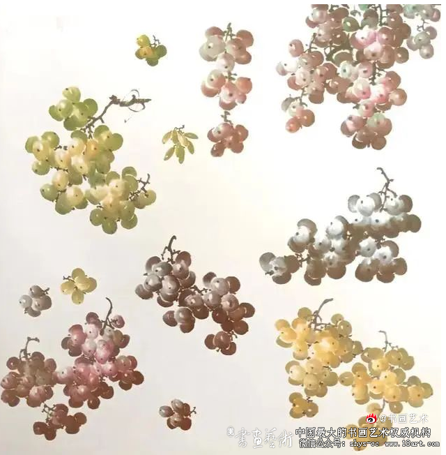 传统国画视频教程葡萄的画法 书画视频 国画视频 葡萄教学视频 画葡萄教程 第1张 传统国画视频教程葡萄的画法 书画视频 国画视频 葡萄教学视频 画葡萄教程 第1张