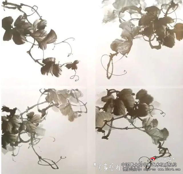 传统国画视频教程葡萄的画法 书画视频 国画视频 葡萄教学视频 画葡萄教程 第2张 传统国画视频教程葡萄的画法 书画视频 国画视频 葡萄教学视频 画葡萄教程 第2张