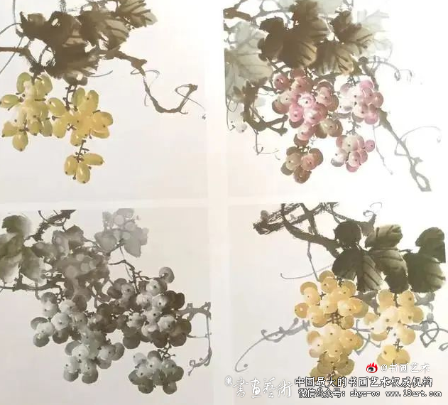 传统国画视频教程葡萄的画法 书画视频 国画视频 葡萄教学视频 画葡萄教程 第3张 传统国画视频教程葡萄的画法 书画视频 国画视频 葡萄教学视频 画葡萄教程 第3张