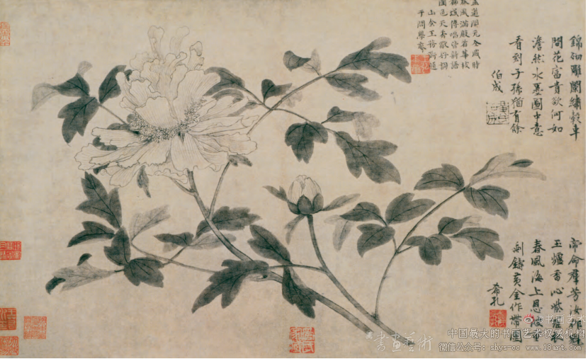 王渊“墨花”题材技法风格研究 - 书画史论 - 书画艺术网